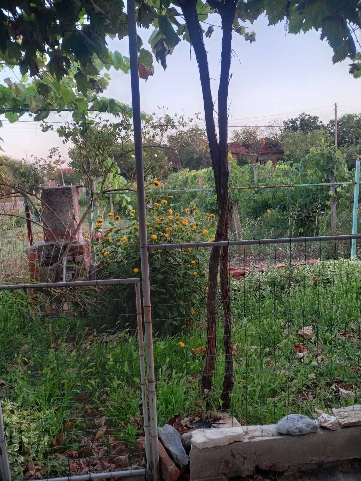 ������� ���� | Imot.bg � ����������� 2