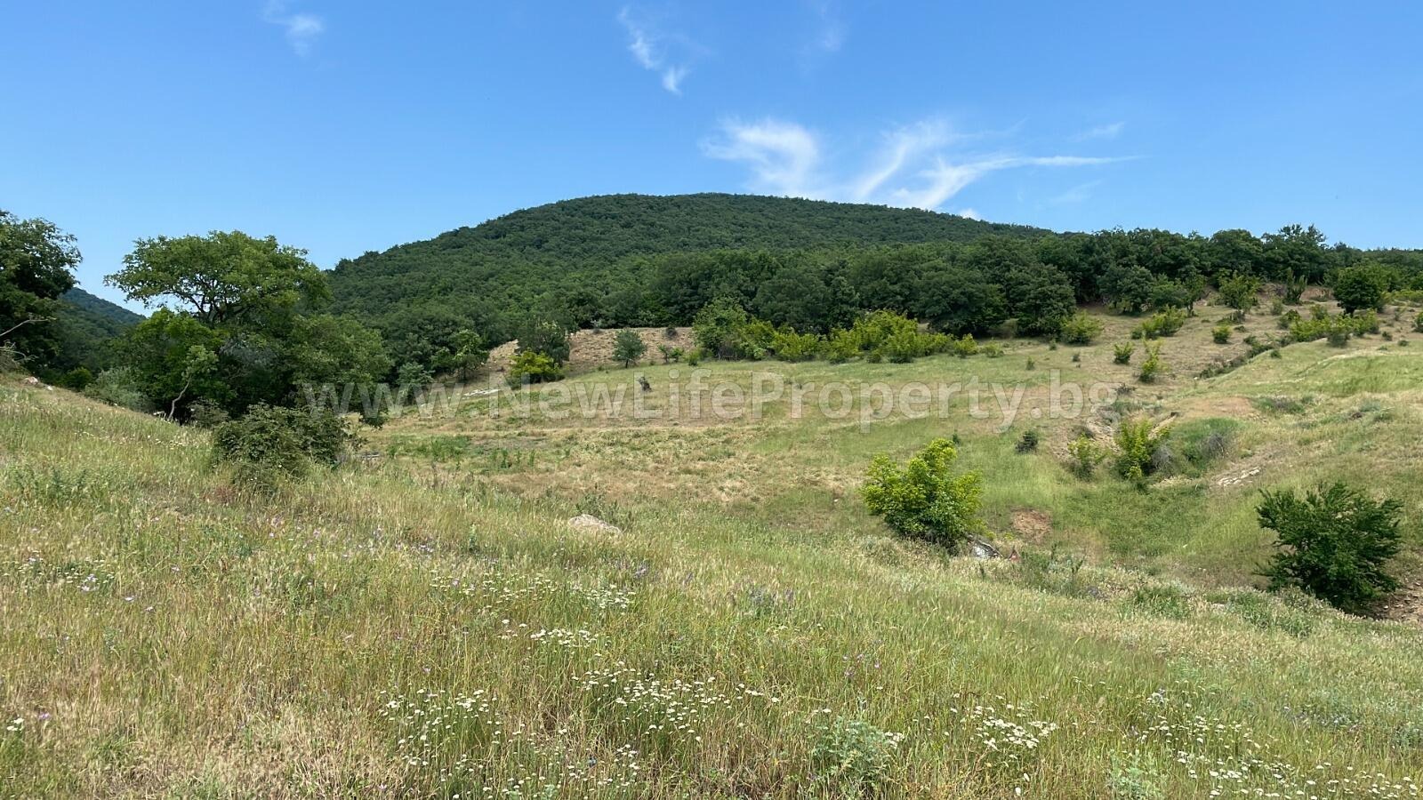 Продава ПАРЦЕЛ | Imot.bg — изображение 6