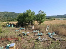 ������� ���� | Imot.bg � ����� ������ 12