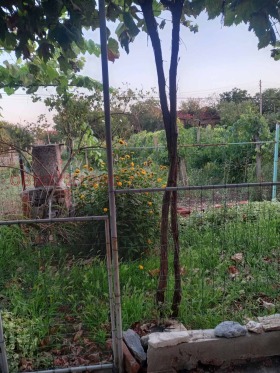 ������� ���� | Imot.bg � ����� ������ 2