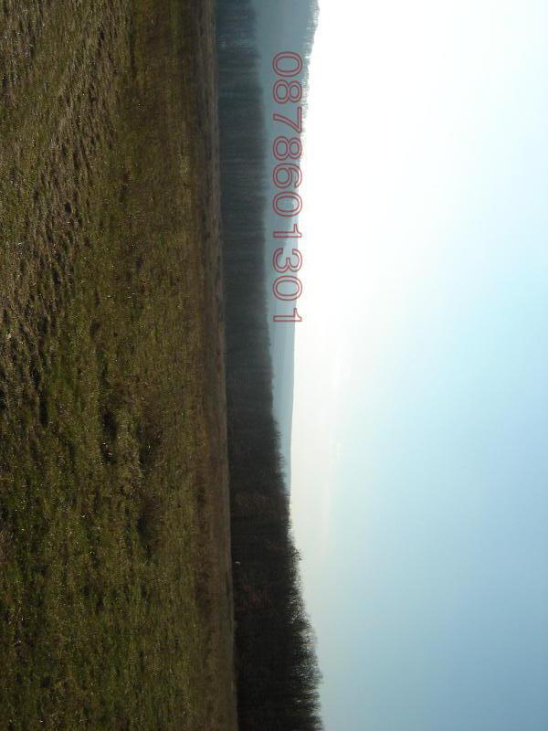 Продава ПАРЦЕЛ, с. Юнец, област Варна, снимка 3 - Парцели - 54151589