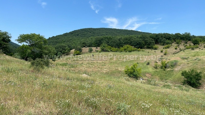 En venta  Trama región Burgas , Kosharitsa , 1303 metros cuadrados | 12219202 - imagen [6]