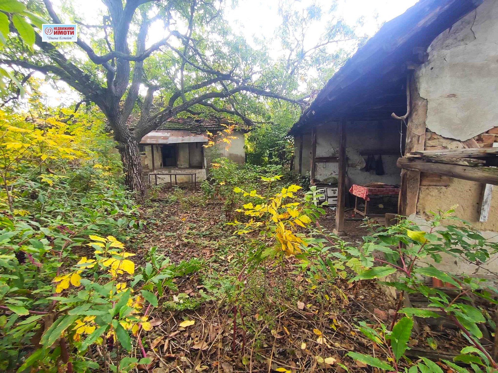 Продава КЪЩА, с. Слана бара, област Видин, снимка 11 - Къщи - 53652162