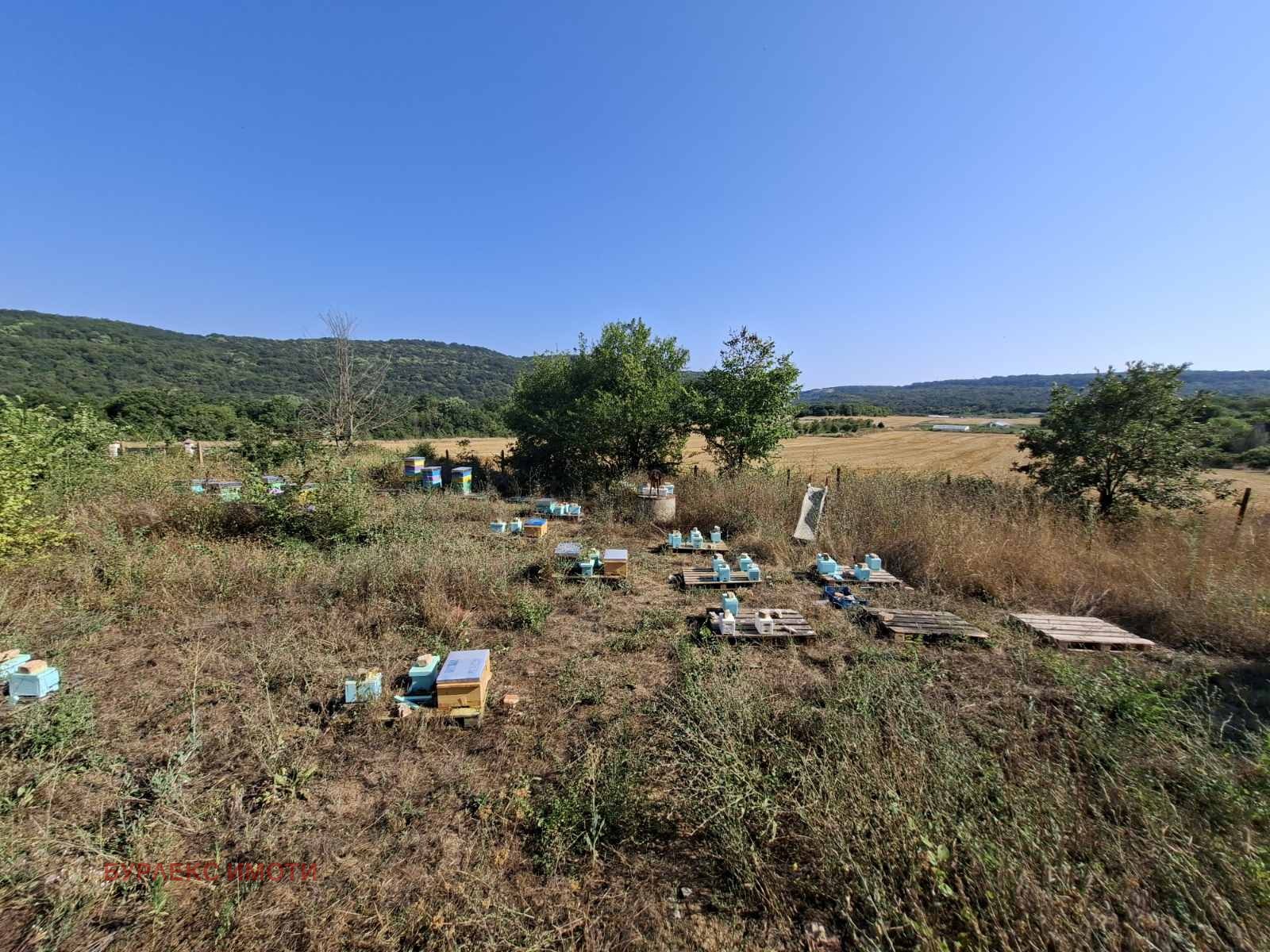 Продава КЪЩА, с. Осеново, област Варна, снимка 13 - Къщи - 55582562
