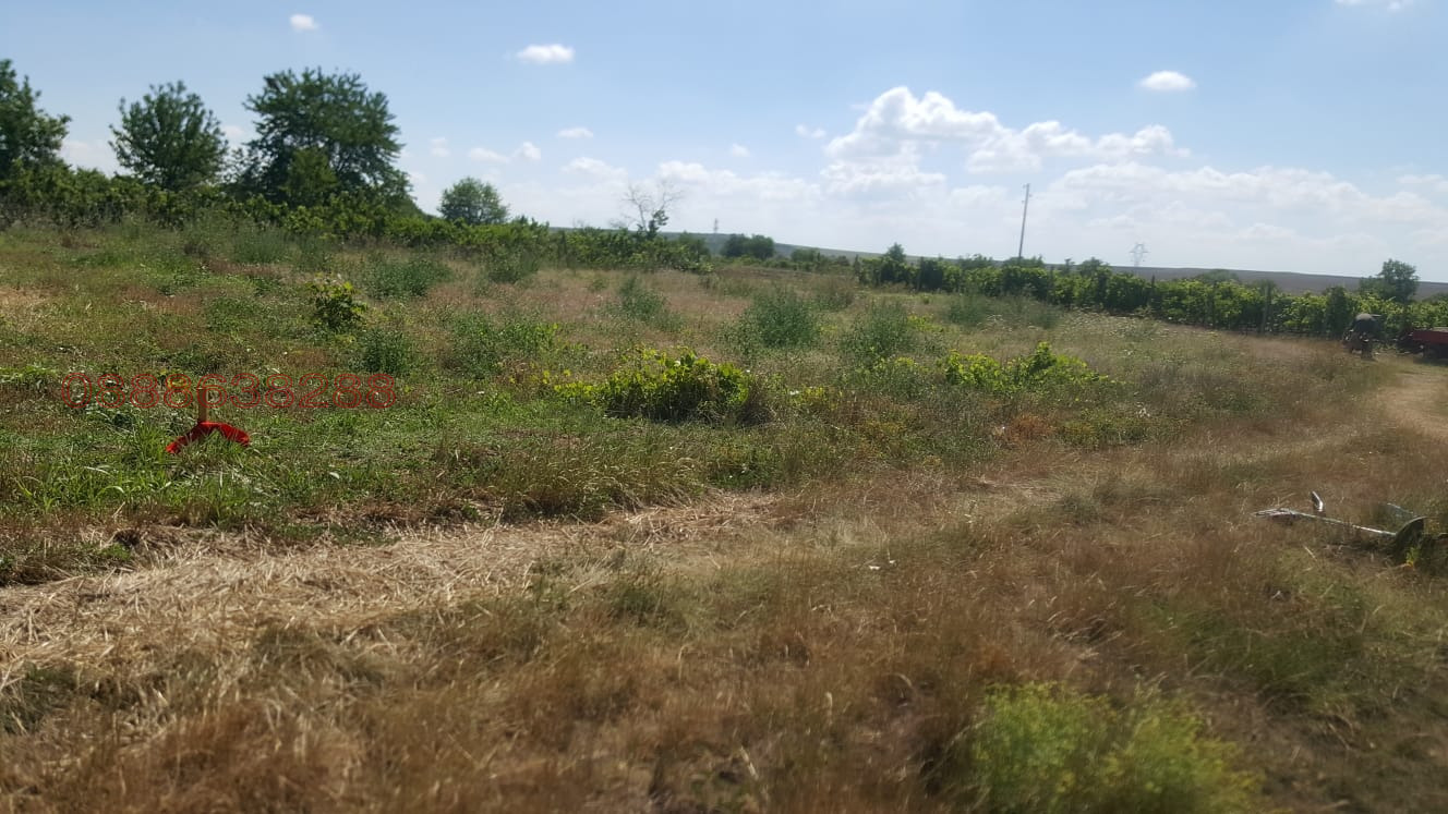 Продава ПАРЦЕЛ, с. Неофит Рилски, област Варна, снимка 5 - Парцели - 54241606