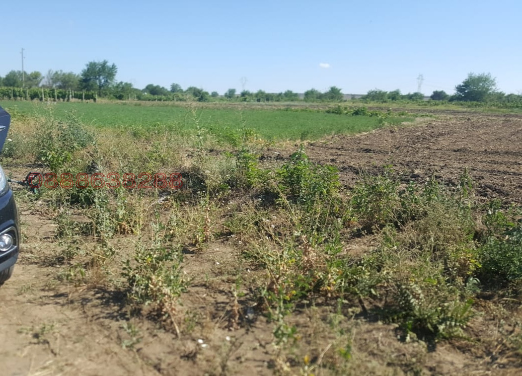 Продава ПАРЦЕЛ, с. Неофит Рилски, област Варна, снимка 2 - Парцели - 54241606