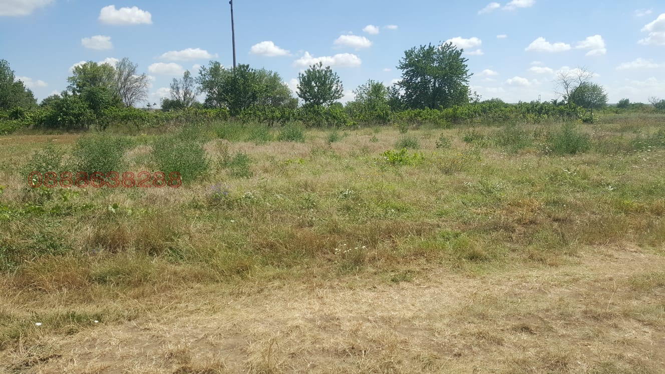 Продава ПАРЦЕЛ, с. Неофит Рилски, област Варна, снимка 8 - Парцели - 54241606