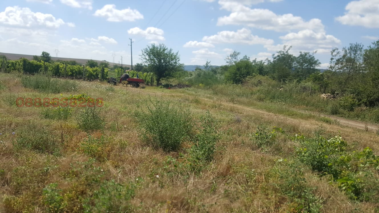 Продава ПАРЦЕЛ, с. Неофит Рилски, област Варна, снимка 9 - Парцели - 54241606