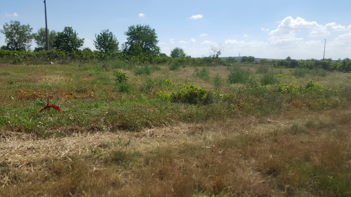 Продава ПАРЦЕЛ, с. Неофит Рилски, област Варна, снимка 4 - Парцели - 54241606