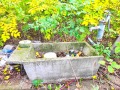 Продава КЪЩА, област Видин, с. Слана бара • 35000 лв. • 53233786 — Holmes.bg