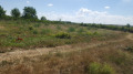 Продава ПАРЦЕЛ, с. Неофит Рилски, област Варна, снимка 5