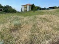 Продава ПАРЦЕЛ, област Бургас, с. Кошарица • 58000 € / 113438.14 лв. • 47488045 4