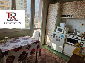 1 Schlafzimmer Radomir, region Pernik 7