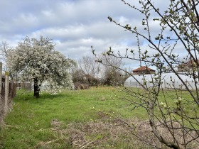 ����� ������� ������,�. �������, ������ �������