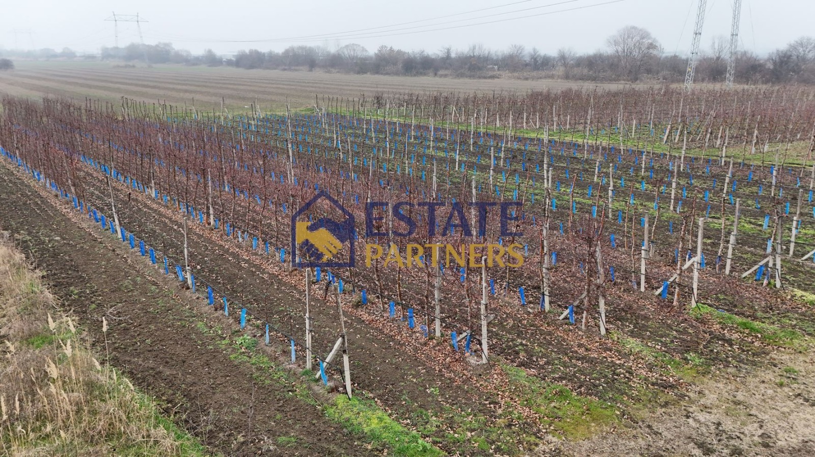 Продава ПАРЦЕЛ, с. Брестник, област Пловдив, снимка 2 - Парцели - 55600994