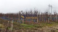 Продава ПАРЦЕЛ, с. Брестник, област Пловдив, снимка 5