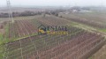 Продава ПАРЦЕЛ, с. Брестник, област Пловдив, снимка 4