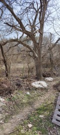 Продава ПАРЦЕЛ, област Велико Търново, с. Присово • 25600 € • 55183255 — Holmes.bg