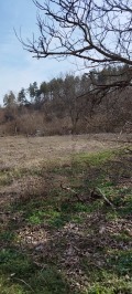Продава ПАРЦЕЛ, област Велико Търново, с. Присово • 25600 € • 55183255 — Holmes.bg