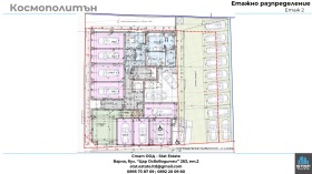 ����� ������� �����,���� �����, �������� �����