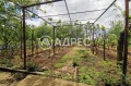 Продава ПАРЦЕЛ, град Варна, м-т Планова • 28500 € • 28987435 — Holmes.bg