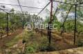 Продава ПАРЦЕЛ, град Варна, м-т Планова • 28500 € • 28987435 — Holmes.bg