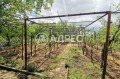 Продава ПАРЦЕЛ, град Варна, м-т Планова • 28500 € • 28987435 — Holmes.bg