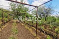 Продава ПАРЦЕЛ, град Варна, м-т Планова • 28500 € • 28987435 — Holmes.bg