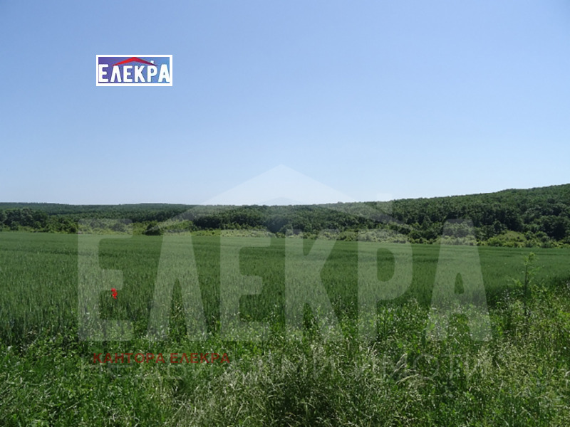 Продава ПАРЦЕЛ в област Варна, с. Юнец - 8000 кв.м / 64 000 € » 125 173.12 лв., КАНТОРА ЕЛЕКРА