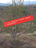 Продава ЗЕМЕДЕЛСКА ЗЕМЯ, с. Мазарачево, област Кюстендил, снимка 1