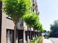 Продава 3-СТАЕН, град София, Малинова долина • 225000 € • 49860282 — Holmes.bg