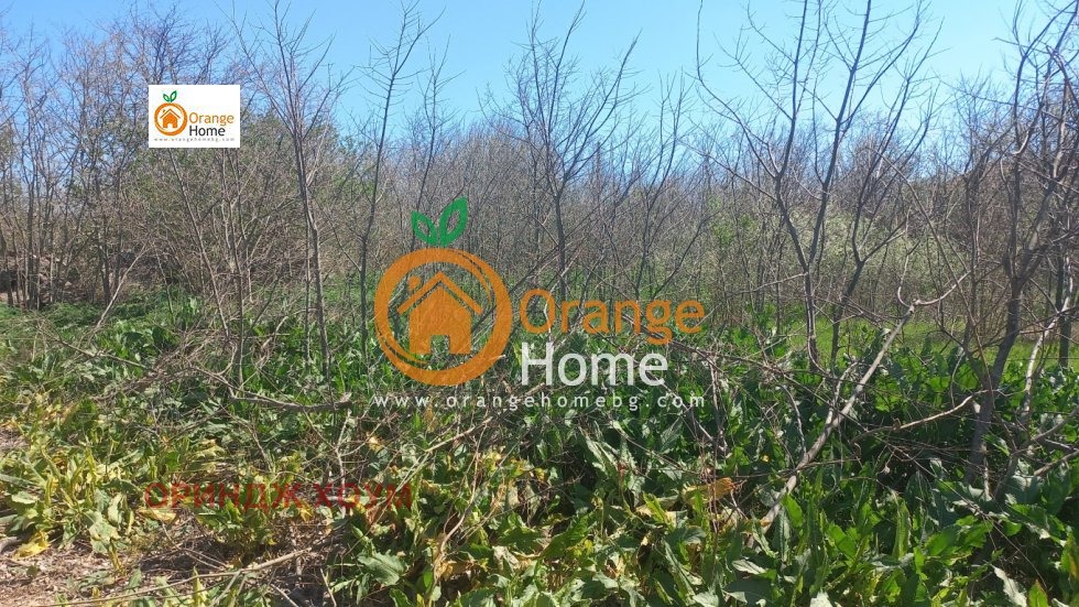 ������� ������ | Imot.bg � ����������� 7