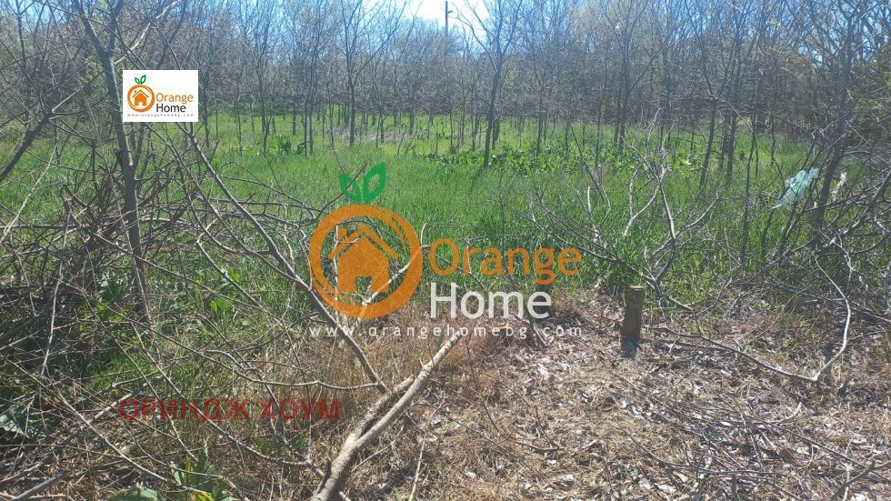 ������� ������ | Imot.bg � ����������� 8