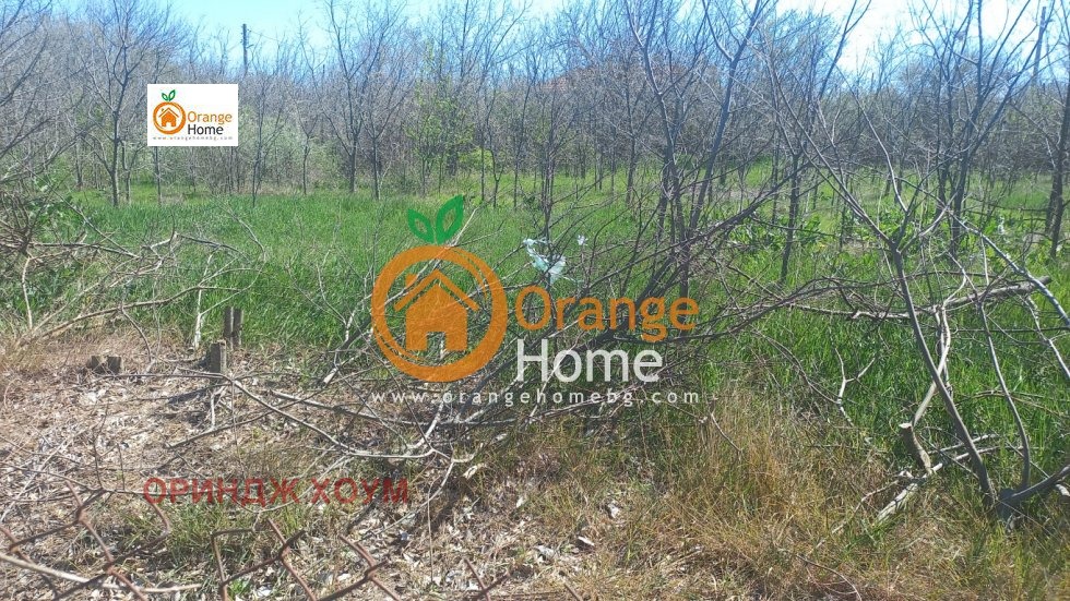 ������� ������ | Imot.bg � ����������� 4