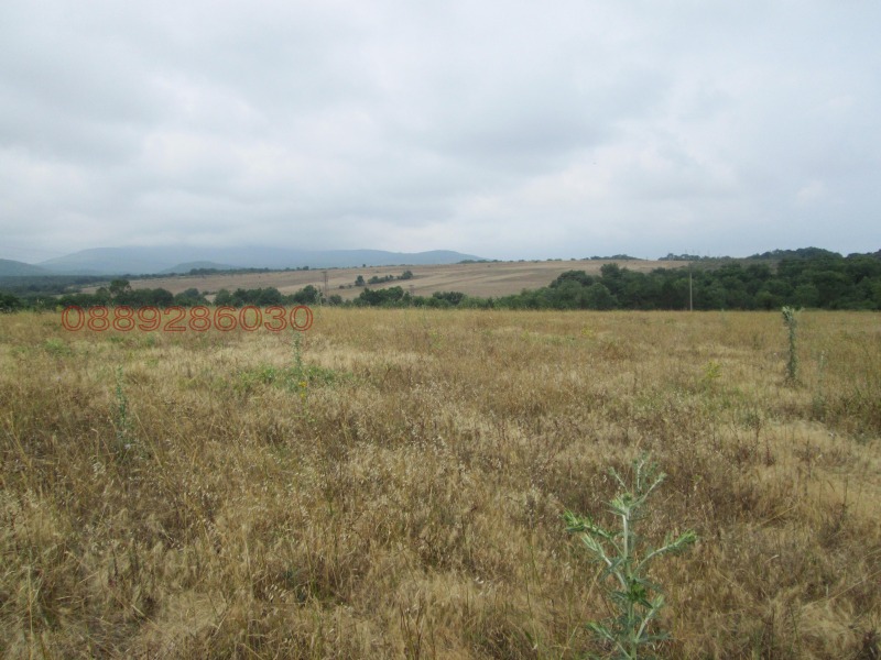 Zu verkaufen  Handlung region Burgas , Ahtopol , 4289 qm | 67666749 - Bild [9]