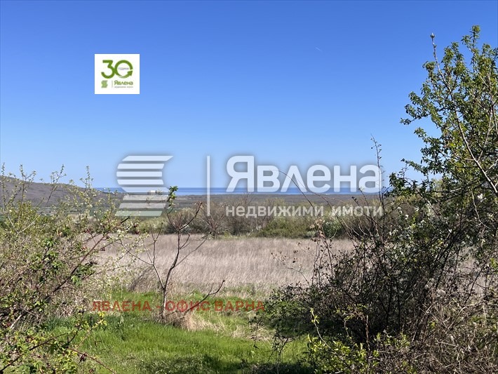 For Sale  Plot region Dobrich , Rogachevo , 1196 sq.m | 18830431 - image [8]