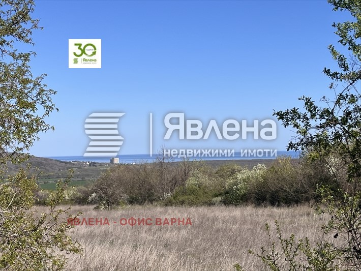 For Sale  Plot region Dobrich , Rogachevo , 1196 sq.m | 18830431 - image [6]