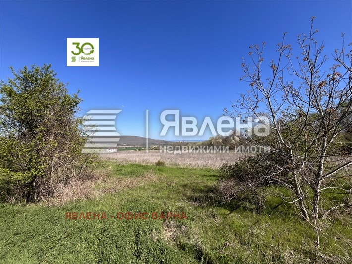 For Sale  Plot region Dobrich , Rogachevo , 1196 sq.m | 18830431 - image [9]