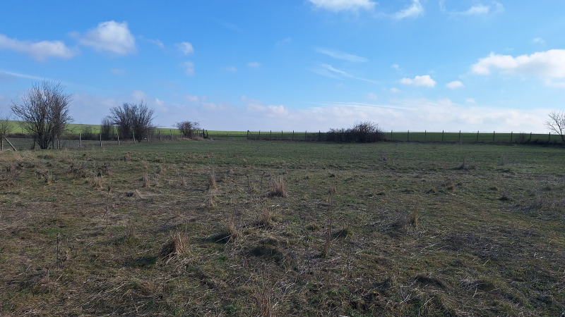 Продава ПАРЦЕЛ, гр. Болярово, област Ямбол, снимка 9 - Парцели - 53051022