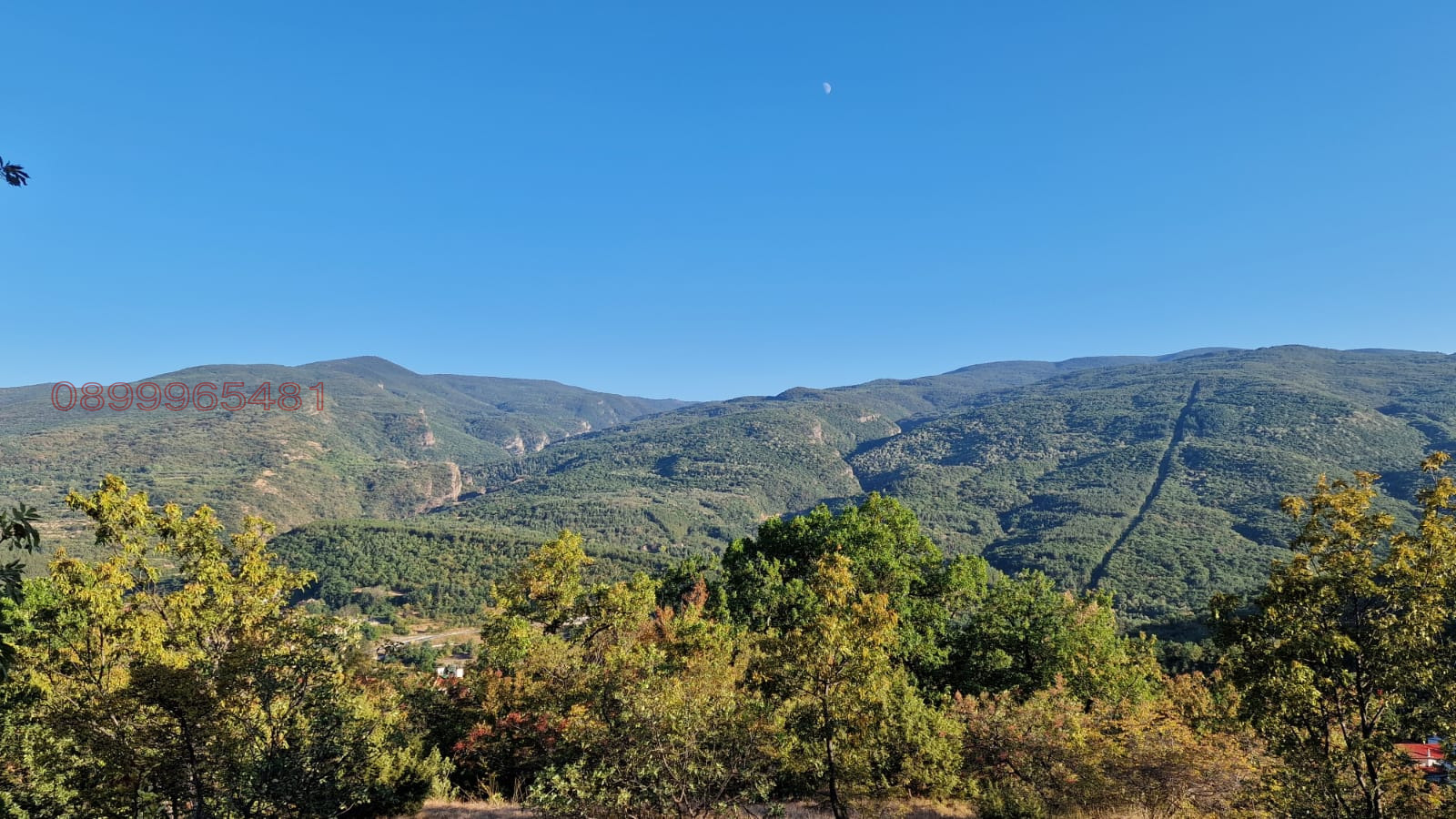 ������� ������ | Imot.bg � ����������� 5