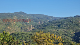 ������� ������ | Imot.bg � ����� ������ 9