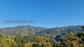 ������� ������ | Imot.bg � ����� ������ 6