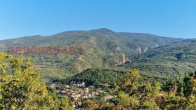 ����� ������� ������,�. ��������, ������ �������