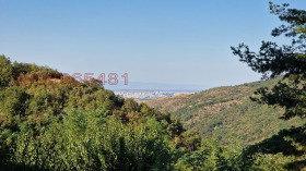 ������� ������ | Imot.bg � ����� ������ 11