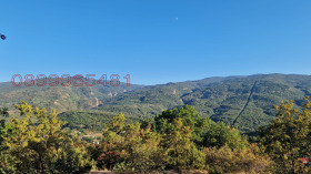 ������� ������ | Imot.bg � ����� ������ 5