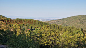 ������� ������ | Imot.bg � ����� ������ 8