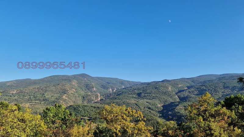 Продава ПАРЦЕЛ, с. Храбрино, област Пловдив, снимка 5 - Парцели - 53262916