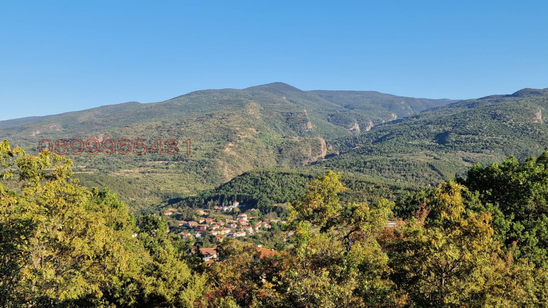 Продава ПАРЦЕЛ, с. Храбрино, област Пловдив, снимка 12 - Парцели - 53262916