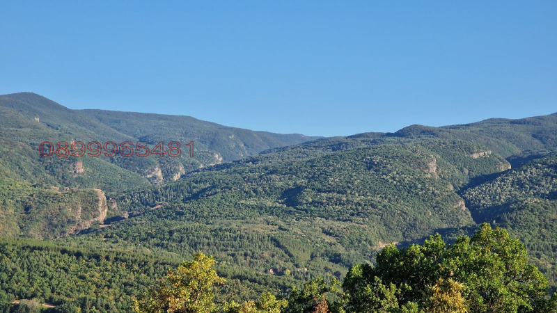 Продава ПАРЦЕЛ, с. Храбрино, област Пловдив, снимка 2 - Парцели - 53262916