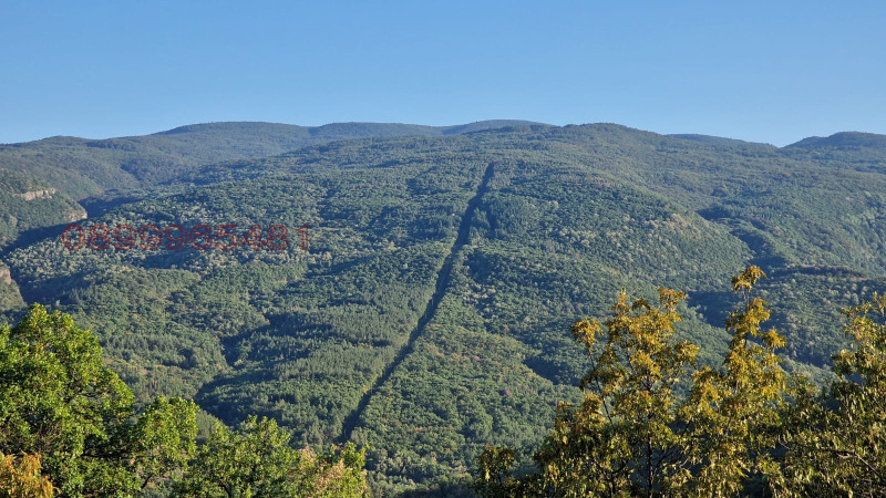 Продава ПАРЦЕЛ, с. Храбрино, област Пловдив, снимка 3 - Парцели - 53262916